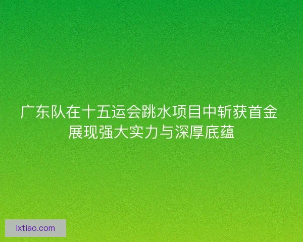 广东队在十五运会跳水项目中斩获首金 展现强大实力与深厚底蕴